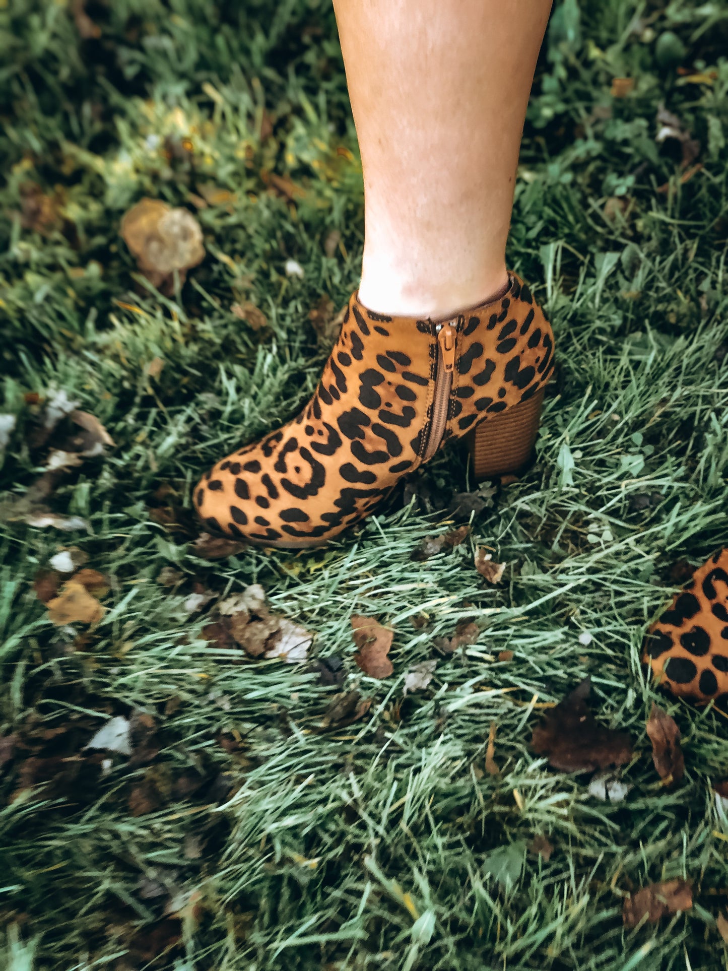 Wild About You Booties