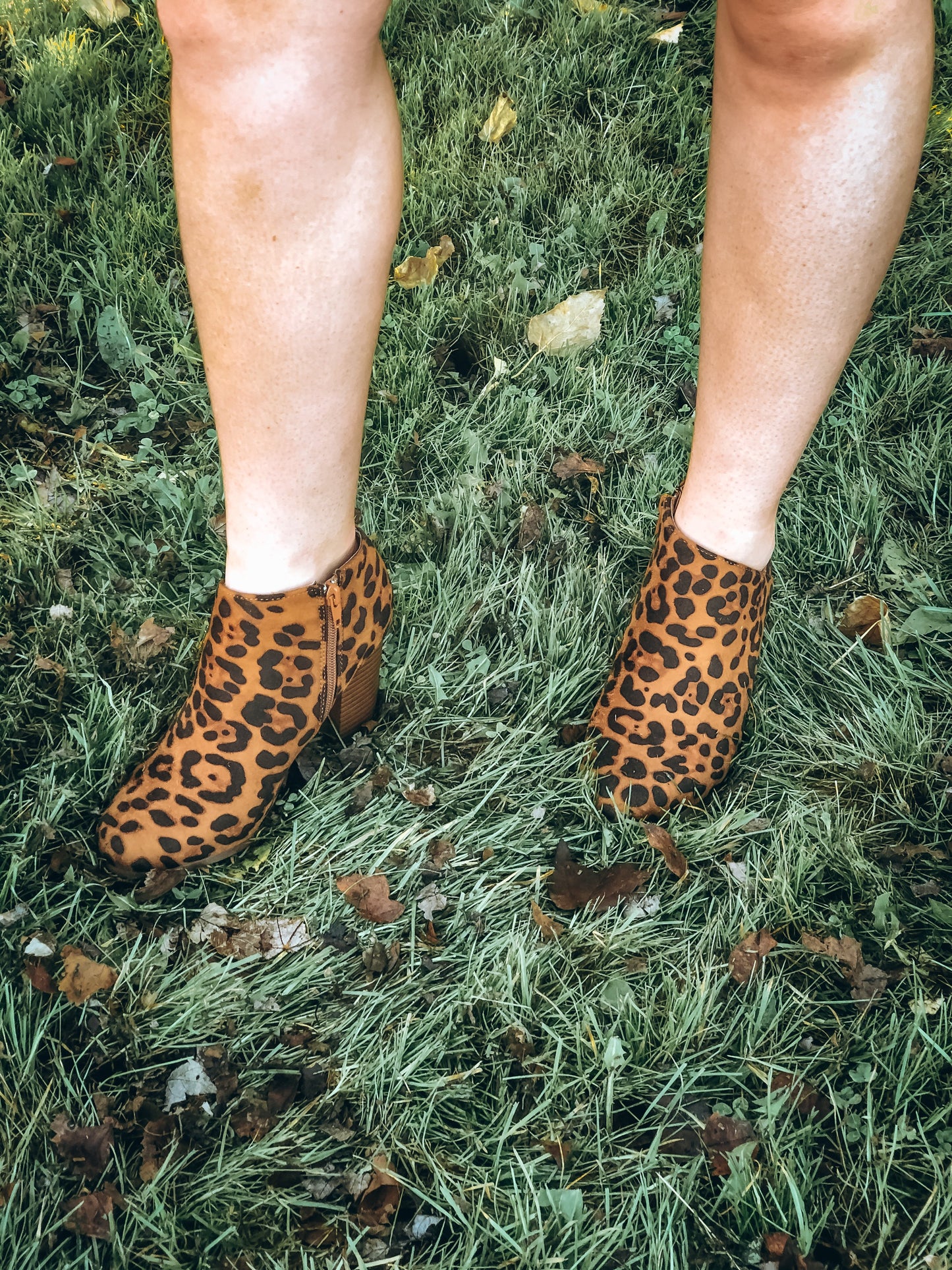 Wild About You Booties